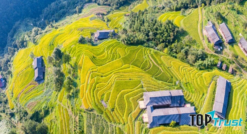 Ruộng bậc thang Long Tích - Trung Quốc