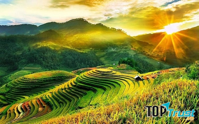 Mù Cang Chải rực rỡ mùa lúa chín