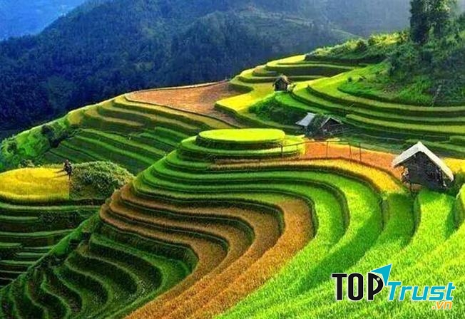 Ruộng bậc thang Sapa, Việt Nam