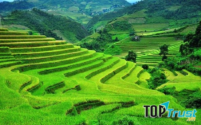 Ruộng bậc thang Sapa, Việt Nam
