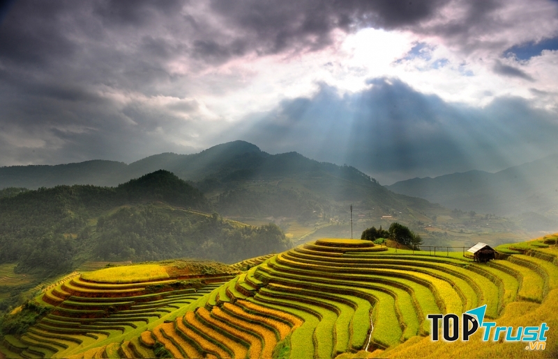Ruộng bậc thang, Việt Nam