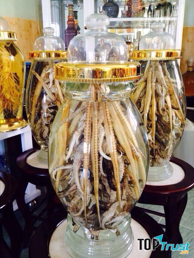 Rượu ngâm cá ngựa