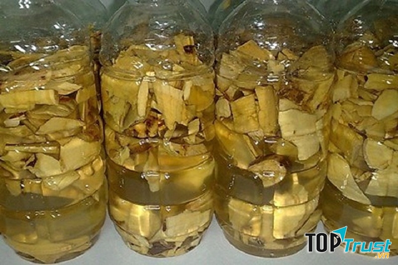 Rượu cây mật gấu