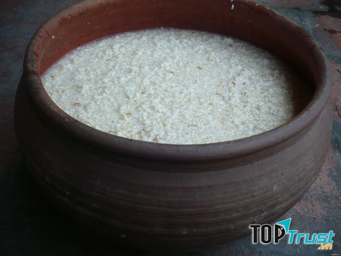 Lu gạo nếp đang được lên men rượu dùng cho mùa lễ Tết