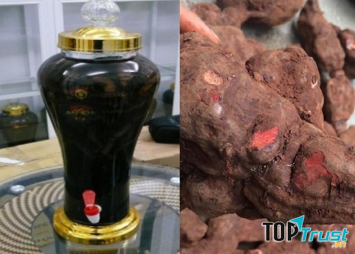 Rượu ngâm hà thủ ô