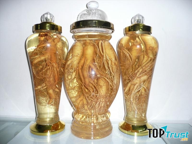 Loại rượu nhân sâm cực kỳ tốt cho sức khỏe