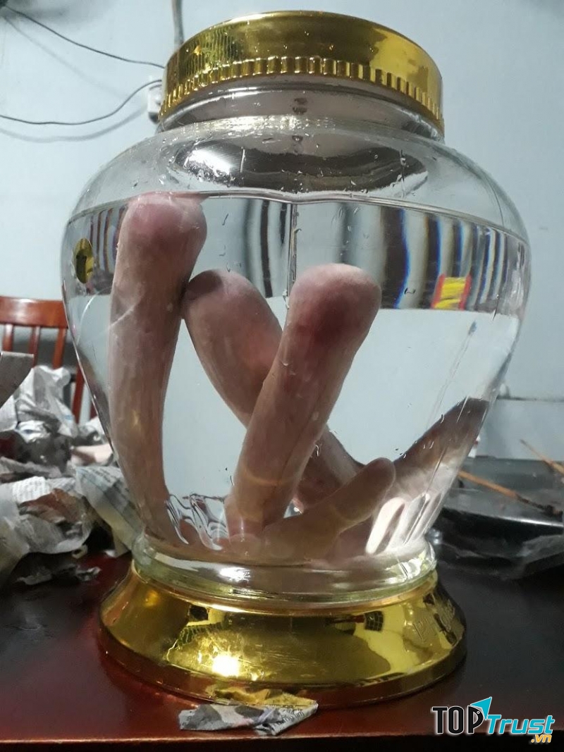 Rượu nhung hươu
