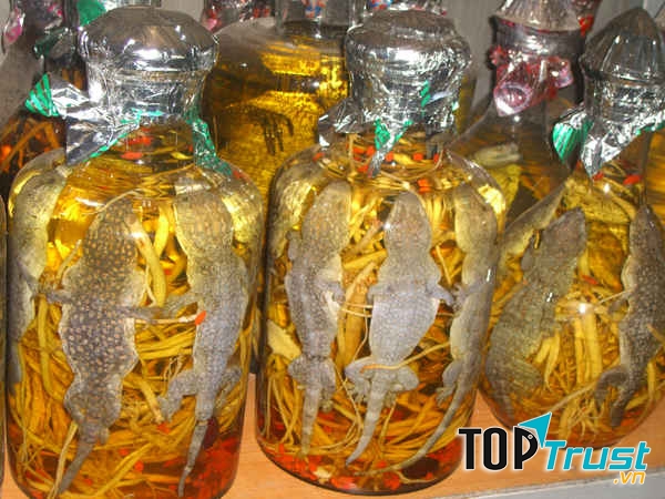 Rượu tắc kè