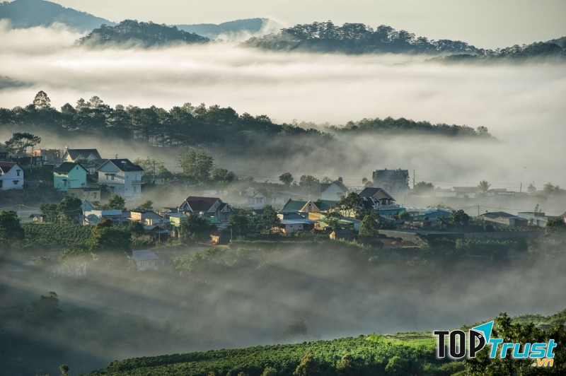 Thành phố sương mù Đà Lạt nổi tiếng với loại rượu vang rất đặc trưng (Nguồn: Sưu tầm)