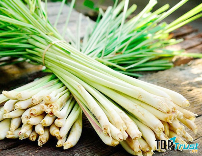 Sả giải độc rượu rất tốt