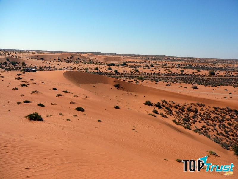 Sa mạc Kalahari khô cằn nhất thế giới