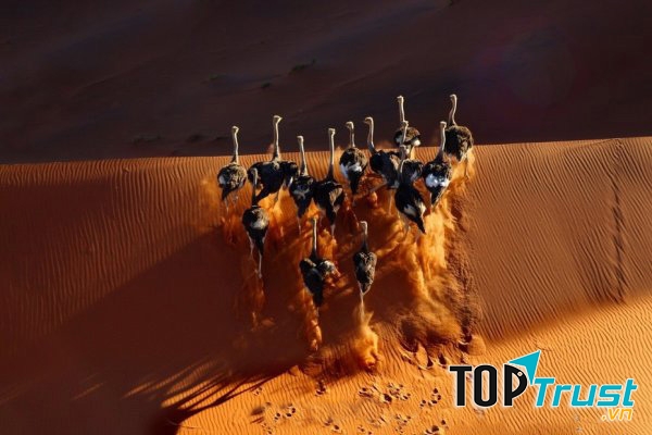 Sa mạc Namib