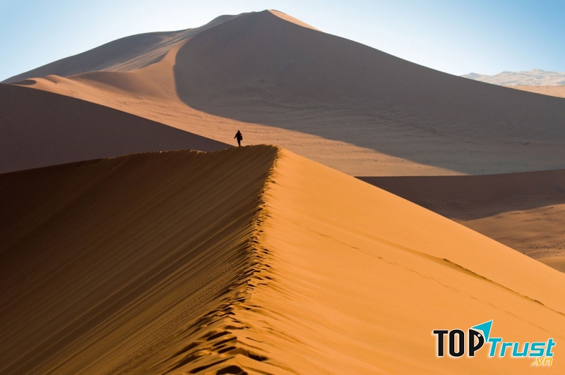 Sa mạc Sahara khô cằn héo hon