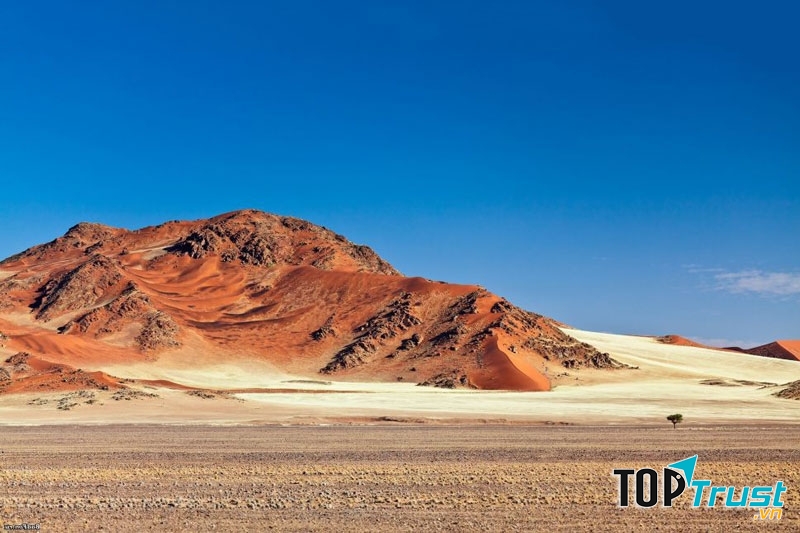 Sa mạc Syria - vùng đất chết