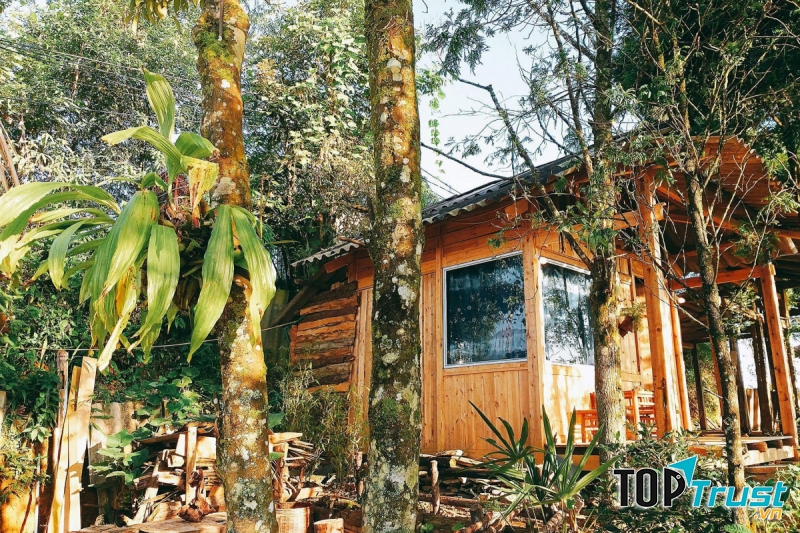 Sa Pa Jungle Homestay