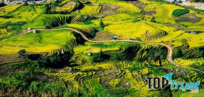Dưới sương sớm, toàn bộ không gian rộng lớn của thung lũng SaPa như bừng sáng trong cái nắng ấm áp của miền núi cao nguyên.