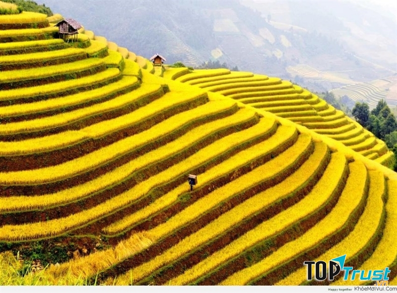 Sa Pa như một kiệt tác nghệ thuật