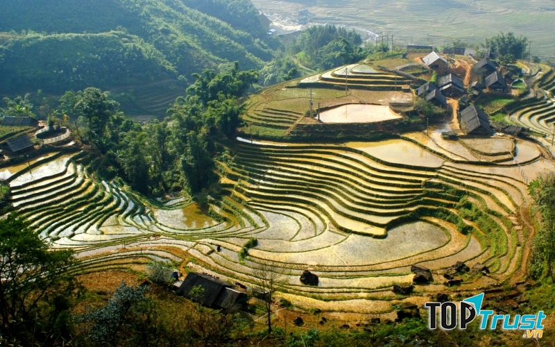 Ruộng bậc thang đẹp như nấc thang thiên đường