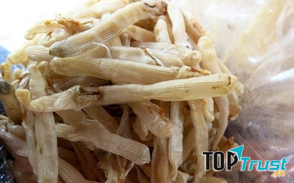 Có thể chế biến món ăn từ sá sùng khi còn tươi hoặc đã phơi khô.