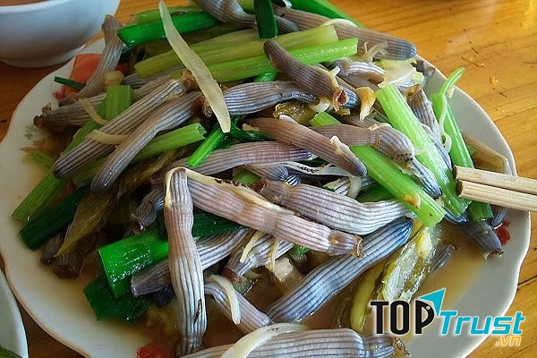 Sá sùng thường được sử dụng cả lúc còn tươi (nấu canh, xáo) hay khô (rang) đếu rất ngon.