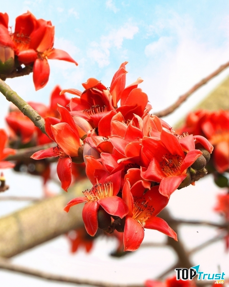 Ảnh minh họa (nguồn internet)