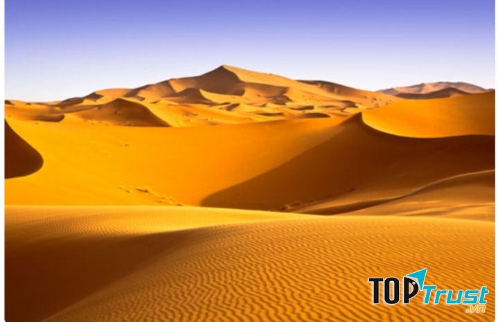 Sa mạc Sahara