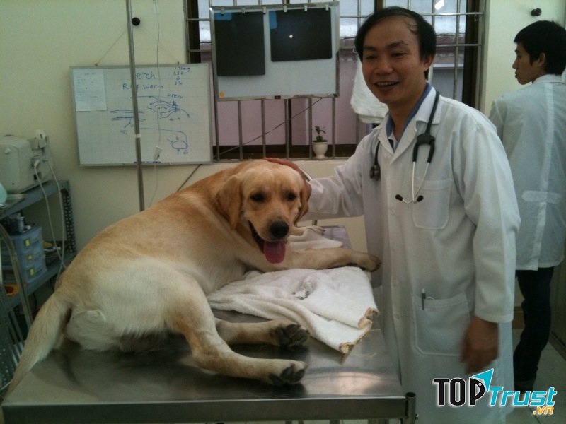 Thú cưng được chăm sóc tại SaiGonPet Clinic