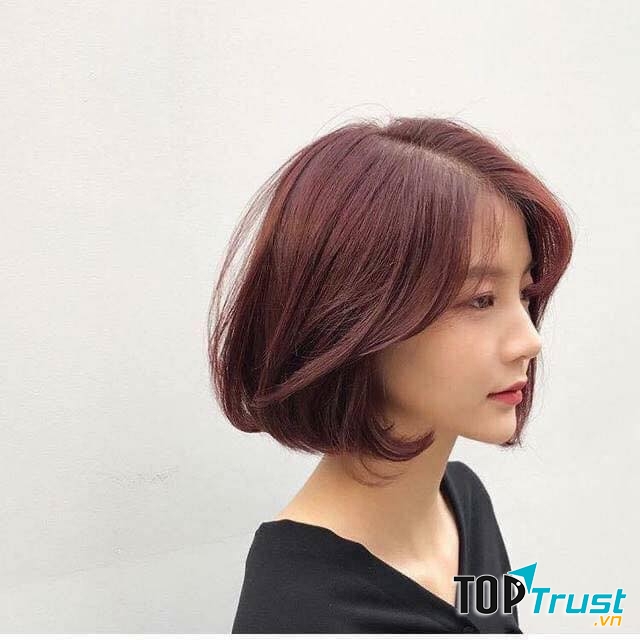 Màu nhuộm công sở