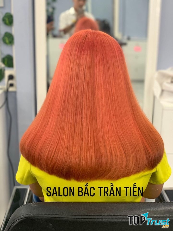 Salon Bắc Trần Tiến