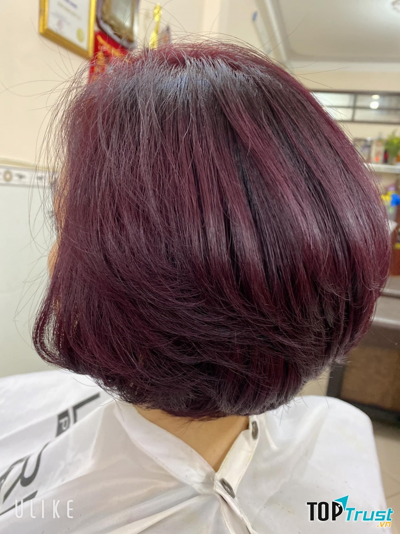 Salon Đức Trí