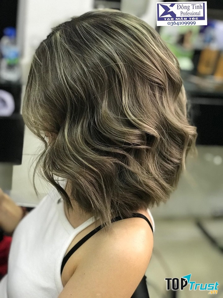 Salon Hùng Đông Tinh