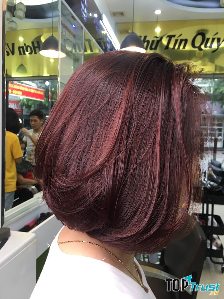 Salon Nam Sơn