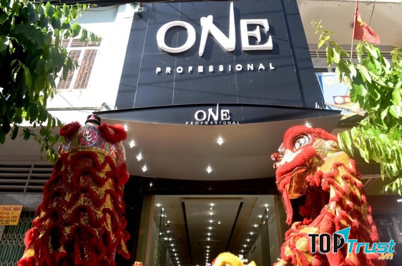 Salon One Professional