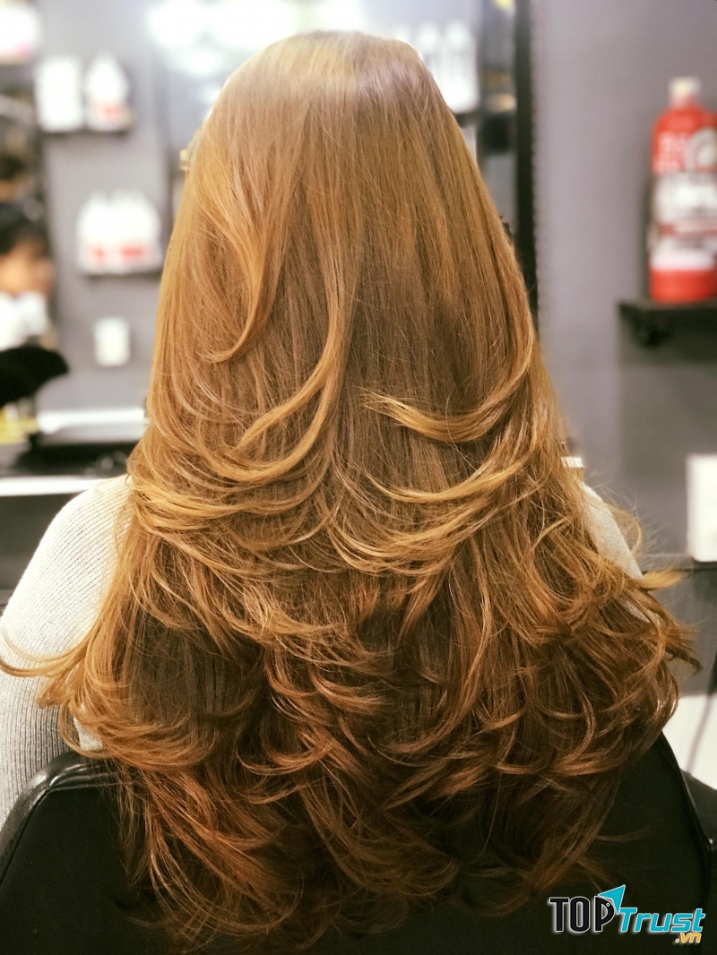 Salon Thế Giới Tóc