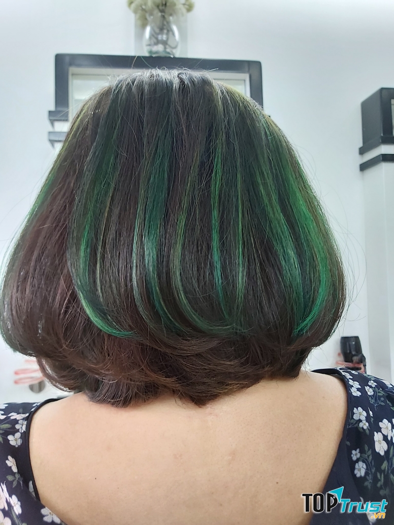 Salon Trinh