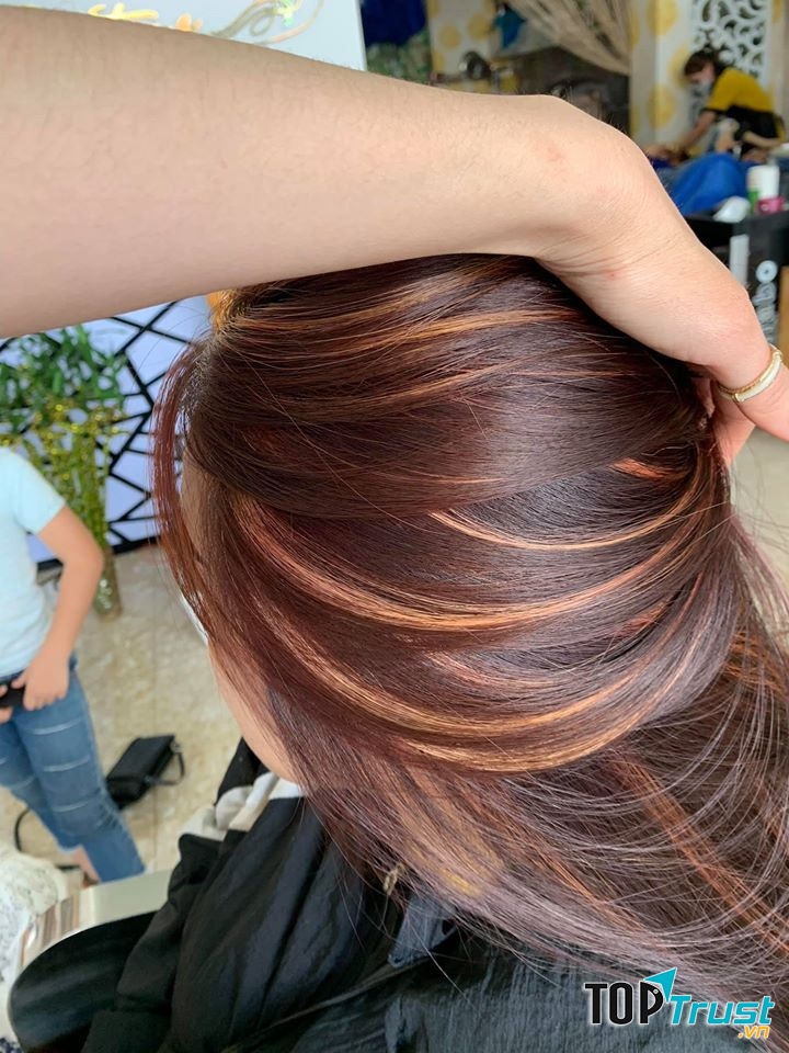 Salon Truyền Pasteur