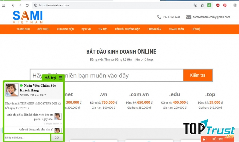 Giao diện kiểm tra tên miền trên samivietnam