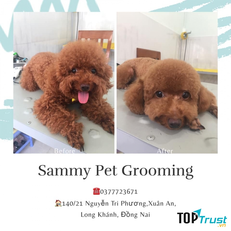 Sammy Pet Grooming