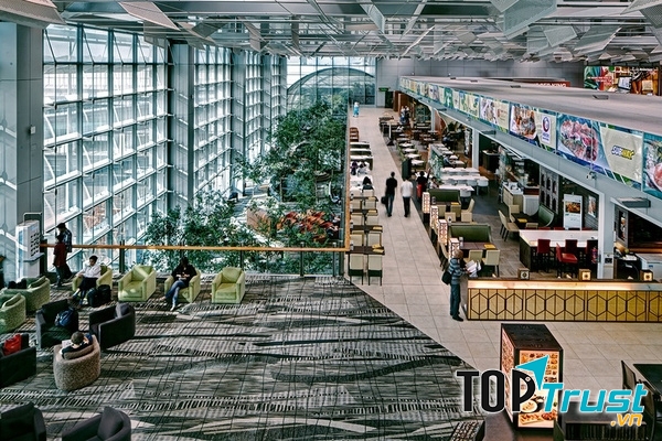Sân bay Quốc tế Singapore Changi