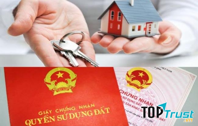 Sàn bất động sản Thạch Kim
