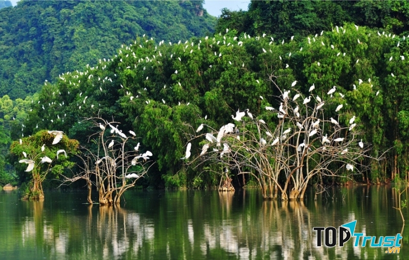 Sân chim Vàm Hồ