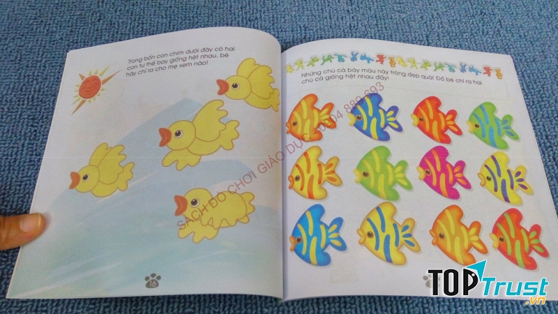 Sân chơi trí tuệ của chim Đa Đa