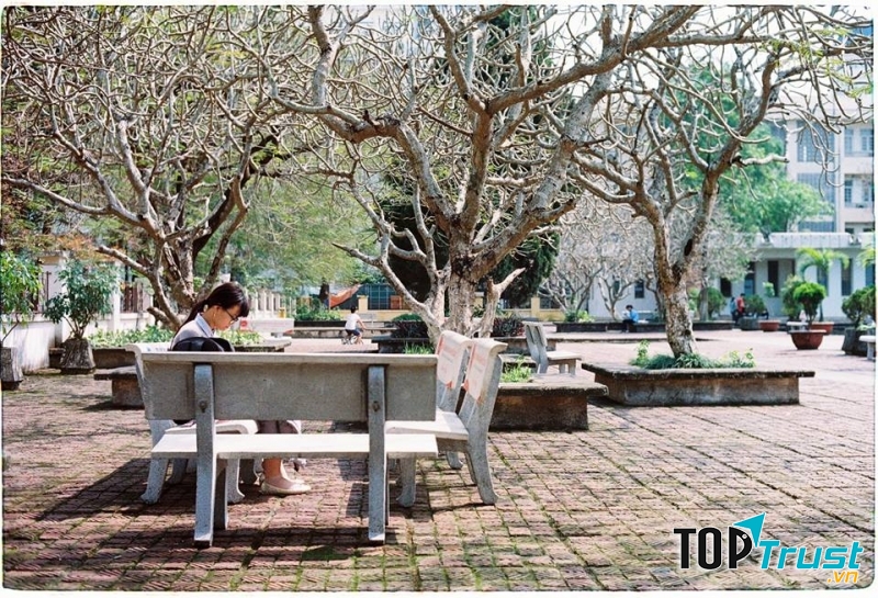 Những cành cây khẳng khiu mang một vẻ đẹp rất riêng, mạnh mẽ, kiêu hãnh vô cùng! (Ảnh Fb Ulis Photography)