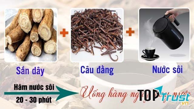 Sắn dây thanh mát; Câu đằng trấn kinh, điều hòa- kết hợp cùng nhau sẽ chữa rối loạn tiền đình sẽ vô cùng hiệu quả