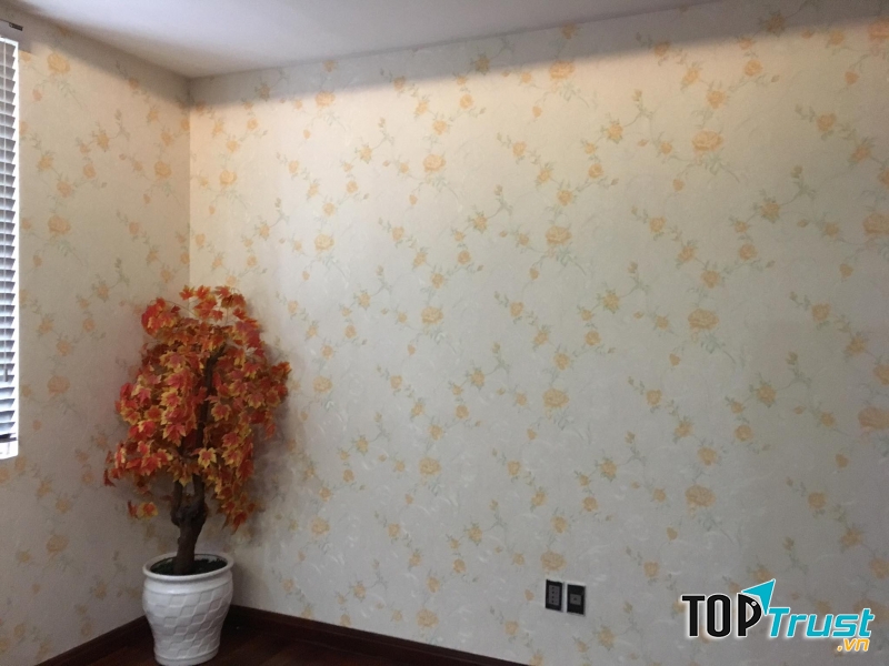 Sàn gỗ giấy dán tường Hạ Long