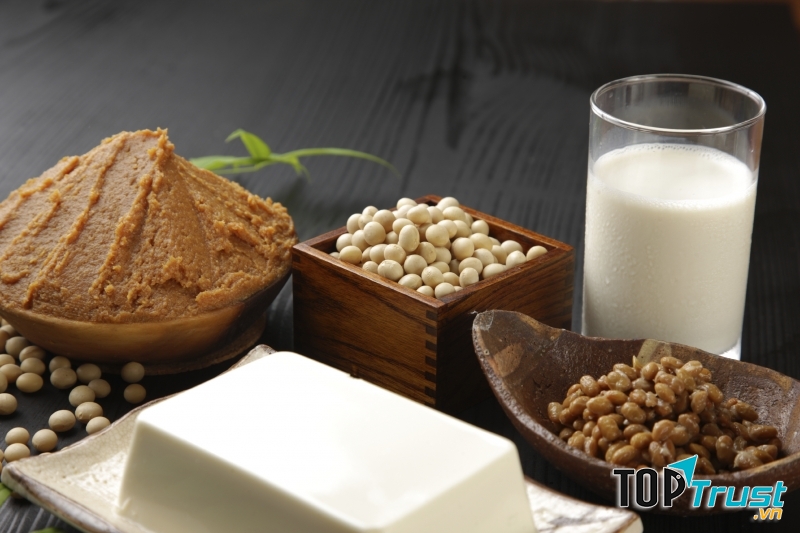 Sản phẩm từ sữa