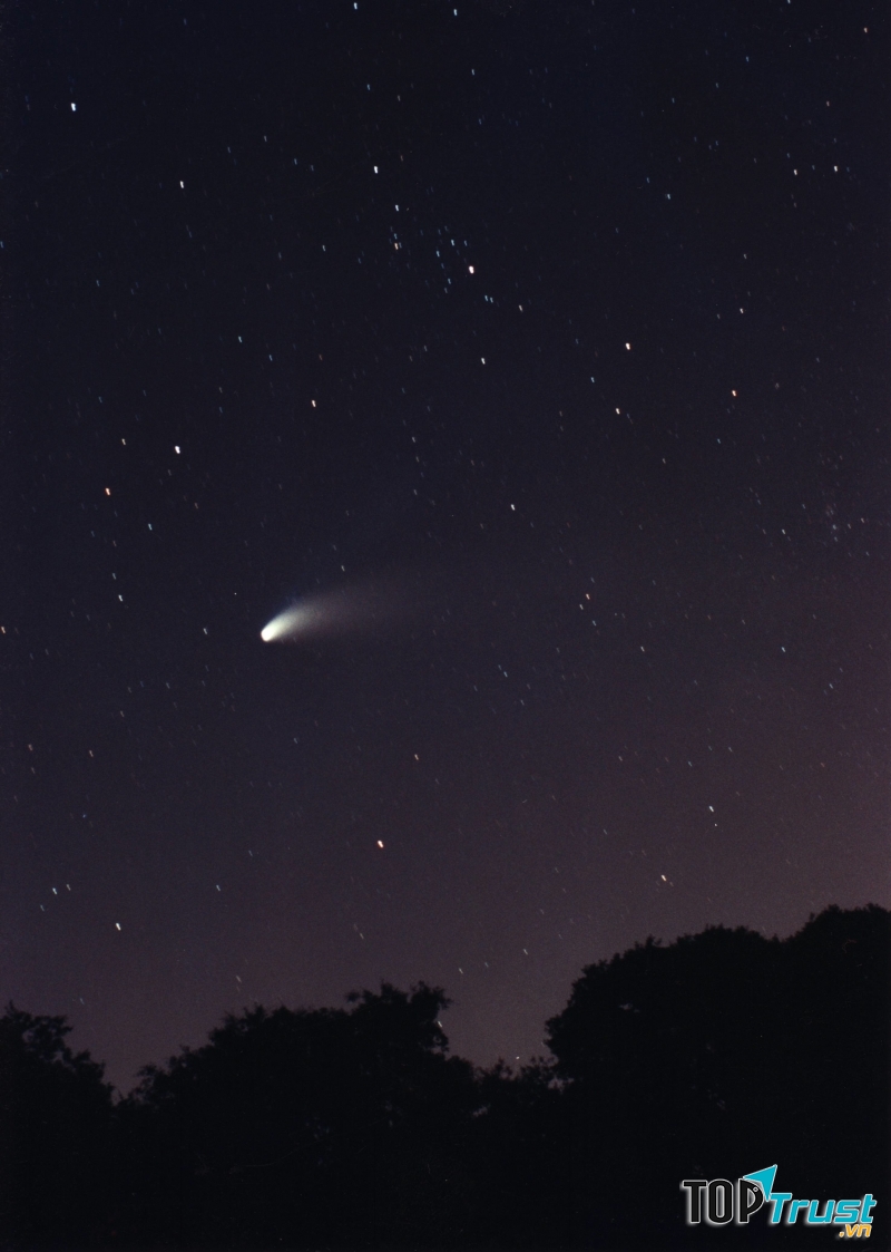 Sao chổi Hale - Bopp