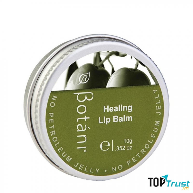 Sáp dưỡng môi Olive – Healing Lip Balm