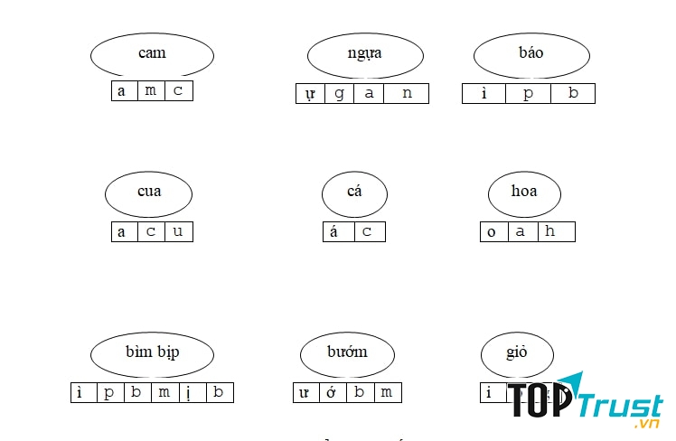 Sắp xếp cho đúng với mẫu