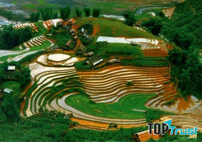 Ruộng bậc thanh tại Sapa